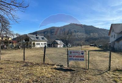 Teren Pangarati / DN DN 15 - 2