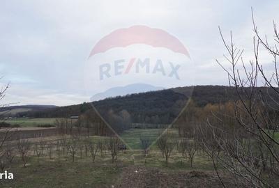 Spațiu comercial, în Barați