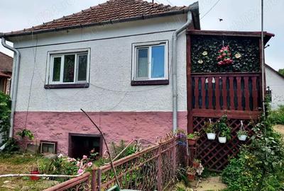 Casa renovata cu teren 7000mp la 19 km de Deva Sat Nojag, Hunedoara - 3