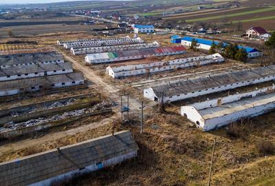 Teren  intravilan in sat Zapodia, com. Traian, jud. Bacau, 36.200mp, - 9