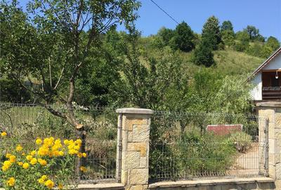 Teren de 4364 mp, în Șerpeni - 2