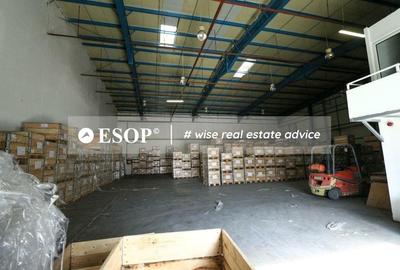 Hala de vanzare Dudesti-Pantelimon Hala de vanzare Dudesti-Pantelimon - 11