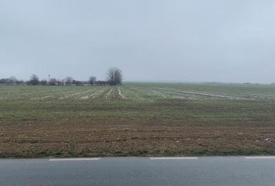 Teren Construcții extravilan de 4850 mp, în Central - 5