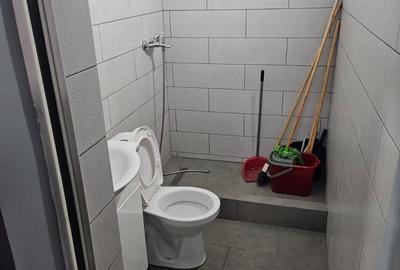 Spațiu industrial, de 570 mp, în Domnești - 10