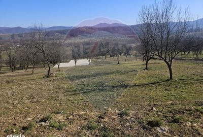 Spațiu comercial, în Bârsana - 4
