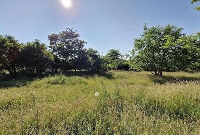 Teren de 2400 mp, în Dâlga - 2