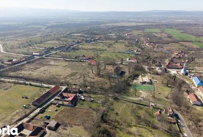 Casă cu 8 camere cu Teren 7235 Mp în Traian Vuia - 14