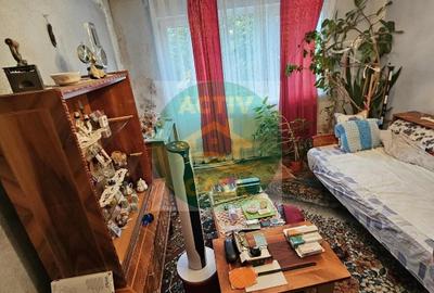 Apartament cu 2 camere, zona Smirodava - 2