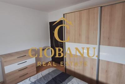 Apartament 2 camere de inchiriat zona Brazda lui Novac - 12
