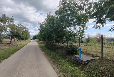 RECO teren intravilan in Saliste de Beius - 1