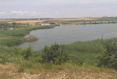 Teren de 12500 mp, în 23 August - 1