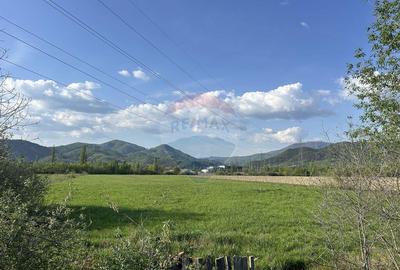 Teren 4,824mp Baia Mare / Strada Sebesului - 1