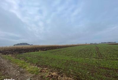 Teren de 1300 mp, în Marginea - 4