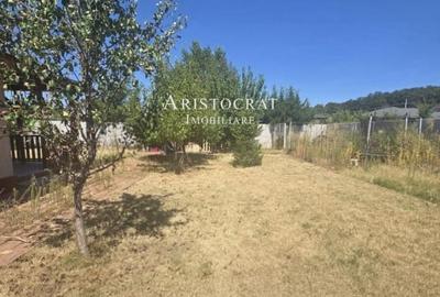 Duplex langa padure - 7