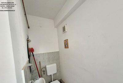 Proprietate D-va Rosie, pretabila pentru activitati economice/locuit - 7