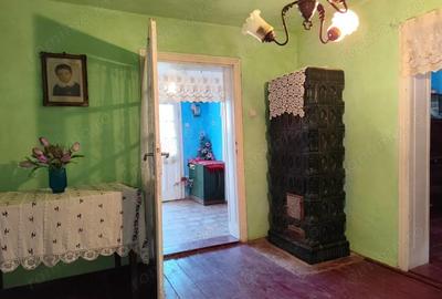 Casă cu 2 camere cu Teren 4600 Mp în Calea Mare - 6