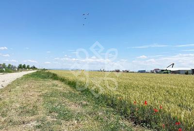 Teren intravilan 2 hectare zona Fan Courier - 2