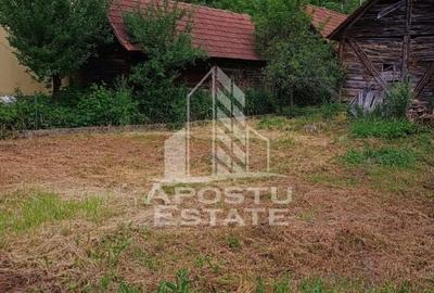 Casa bătrânească de vânzare | 4 camere | Hunedoara | Micănești - 33