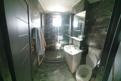 Apartament cu 3 camere decomandat, mobilat în Viziru 3 - 4