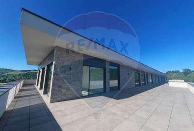 Birou, de 347.39999389648 mp, în Mănăștur