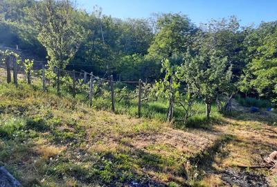 Proprietar vand casa Hemeius - 5