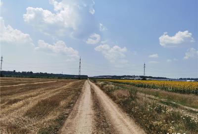 Teren de 5000 mp, în Central