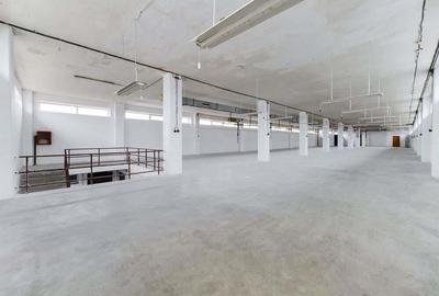 Hala de 2050 mp in Arad - 10