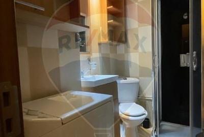 Apartament cu 1 camera de inchiriat in zona Brazda lui Novac - 4