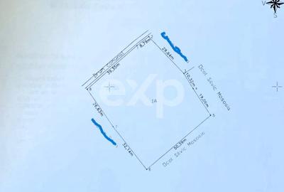 Teren Construcții intravilan de 3015 mp, în Moșoaia - 2