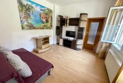 Apartament la curte, 2 camere, CT, AC, zona Facultatea de Medicina - 4