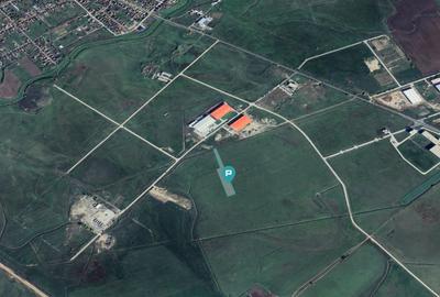 Teren agricol 1 ha, Sânandrei, - 4