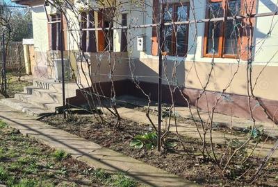 Casă cu 3 camere în Drănic - 3