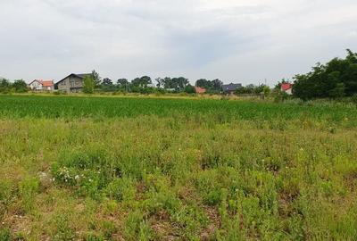 Teren de 2000 mp, în Păcurari - 3