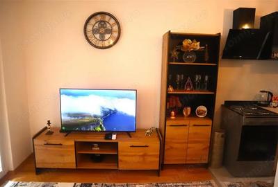 Apartament cu 1 camera in zona Iosefin - 2