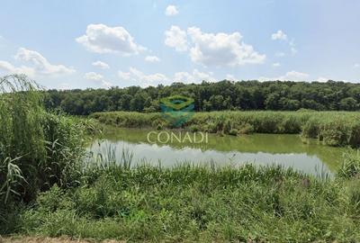 Teren 800mp Vadu Anei | Branesti | Langa Lac si Padure | Rezidential - 7