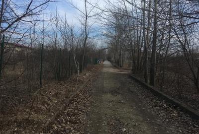 Teren Construcții intravilan de 1100 mp, în Băneasa - 2