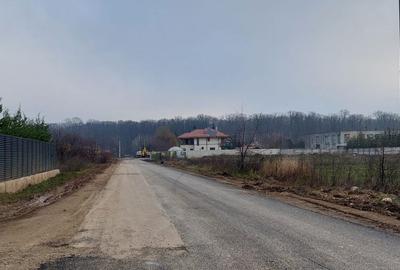 Spațiu comercial, în Mogoșoaia - 3