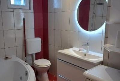 Unirii,Traian,Calea Calarasilor,apartament in vila +CURTE  ET 1/2 mobilat utilat - 8