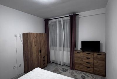Apartament cu 3 camere, mobilat în Valea Rosie - 8