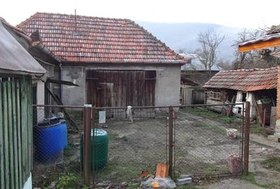 Casă cu 2 camere cu Teren 2245 Mp în Brănișca - 5