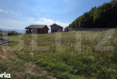 Teren de 875 mp, în Șieu - 7