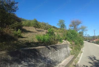 Teren de 1274 mp, în Criș - 4