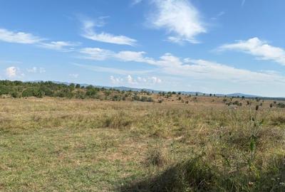 Teren Construcții intravilan de 1000 mp, în Sud-Est - 2