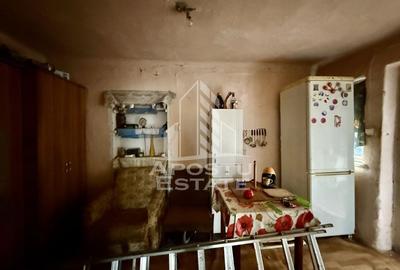 Apartament o camera si anexa, curte 124mp, zona Elisabetin - 9