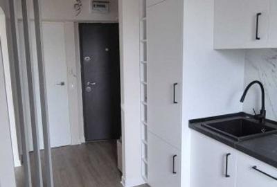 Apartament 2 camere in zona Albac - 3