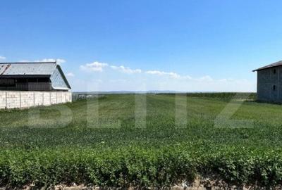 Oportunitate de investitie!!! Teren intravilan, 9782 mp, zon - 6