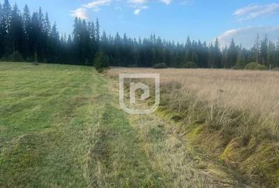Teren intravilan  - Poiana Stampei ?