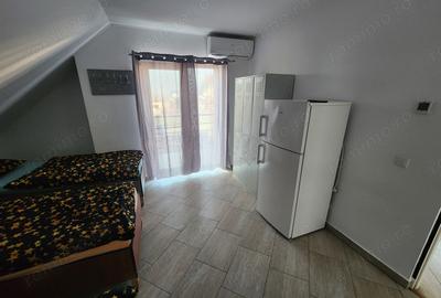 Casă cu 2 camere în Sânandrei - 11