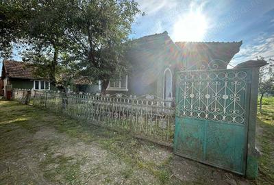 Proprietar, vand casa la sat 2100 mp - 1