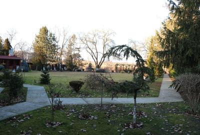 Vila exclusivista Snagov, cu deschidere la lac - 4